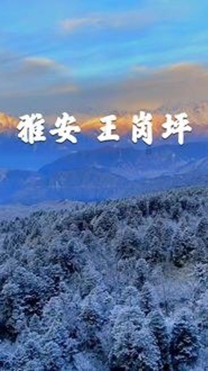 探索烟台栖霞和黄金帅谁好吃?,获得知识星球平台的精髓!